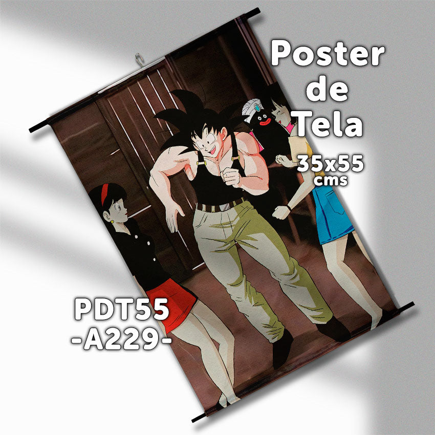 Posters de tela Anime Dragon Ball 35x55cms