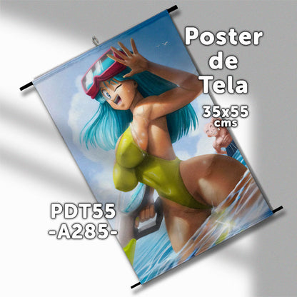 Posters de tela Anime Dragon Ball 35x55cms