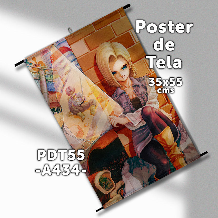 Posters de tela Anime Dragon Ball 35x55cms
