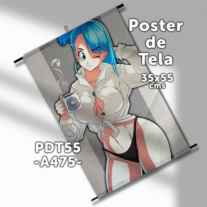 Posters de tela Anime Dragon Ball 35x55cms